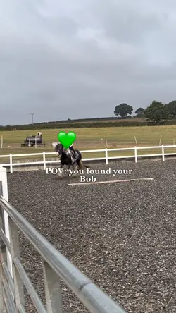 Found my BOB