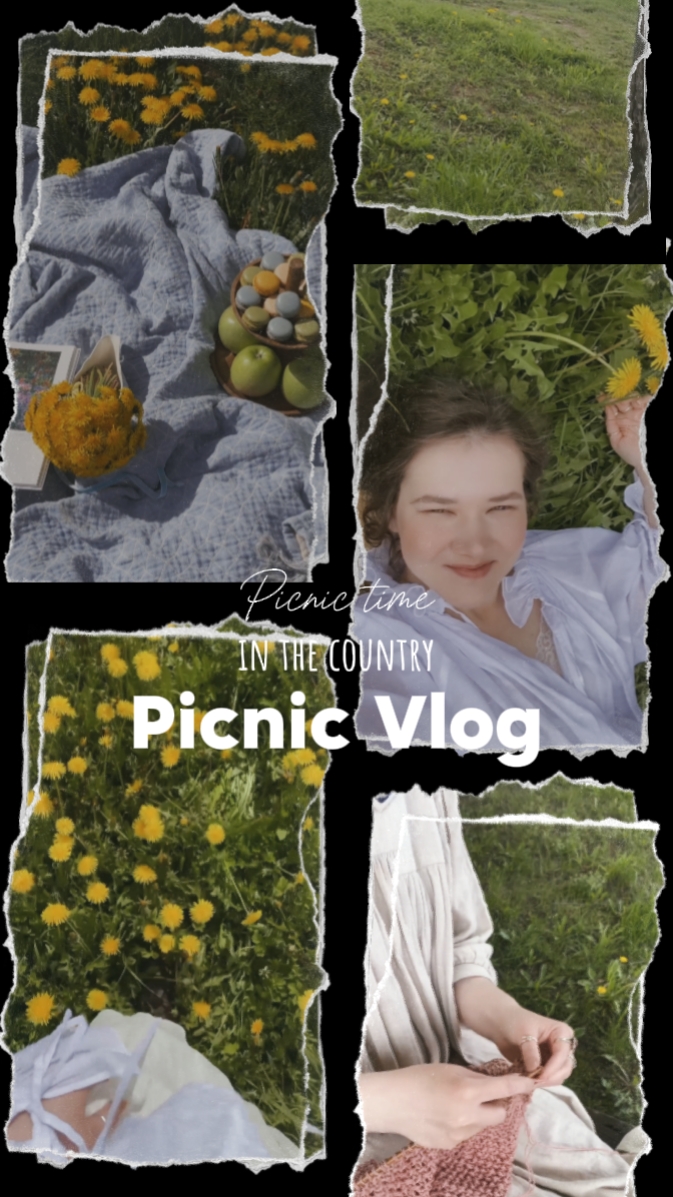 Picnic Vlog