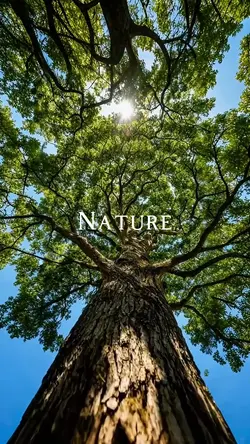 Nature Cinematic