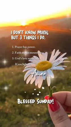 Blessed Sunday 🙏