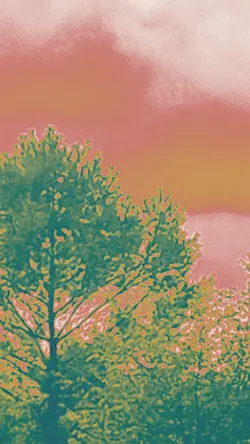 SKY PICTURES