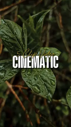 5 Clip Cinematic 