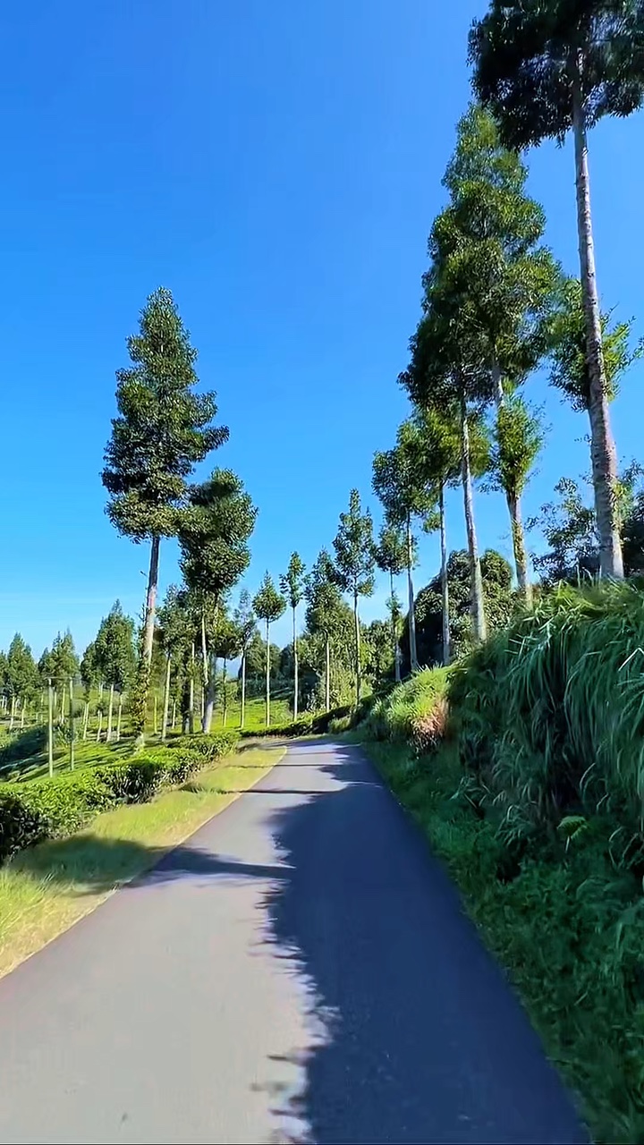 6 clips travel road