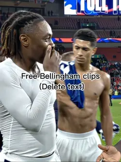 free Bellingham clip