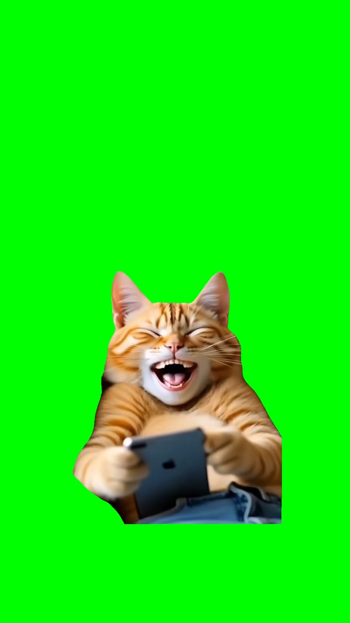 CAT LAUGHING