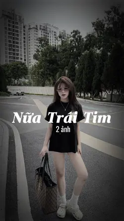 nửa trái tim remix