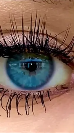 Eye Transition