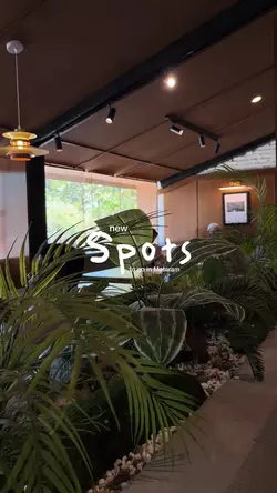 CAFE VIBES TREND