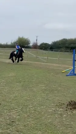 FAKE HORSE AND BODY!