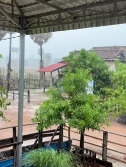 ស្រុកស្រែ🏡🍃🌱