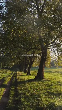 morning of nature