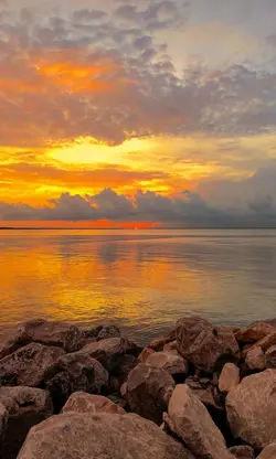 Filter senja