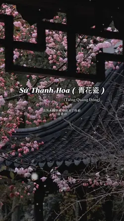 Sứ Thanh Hoa 青花瓷