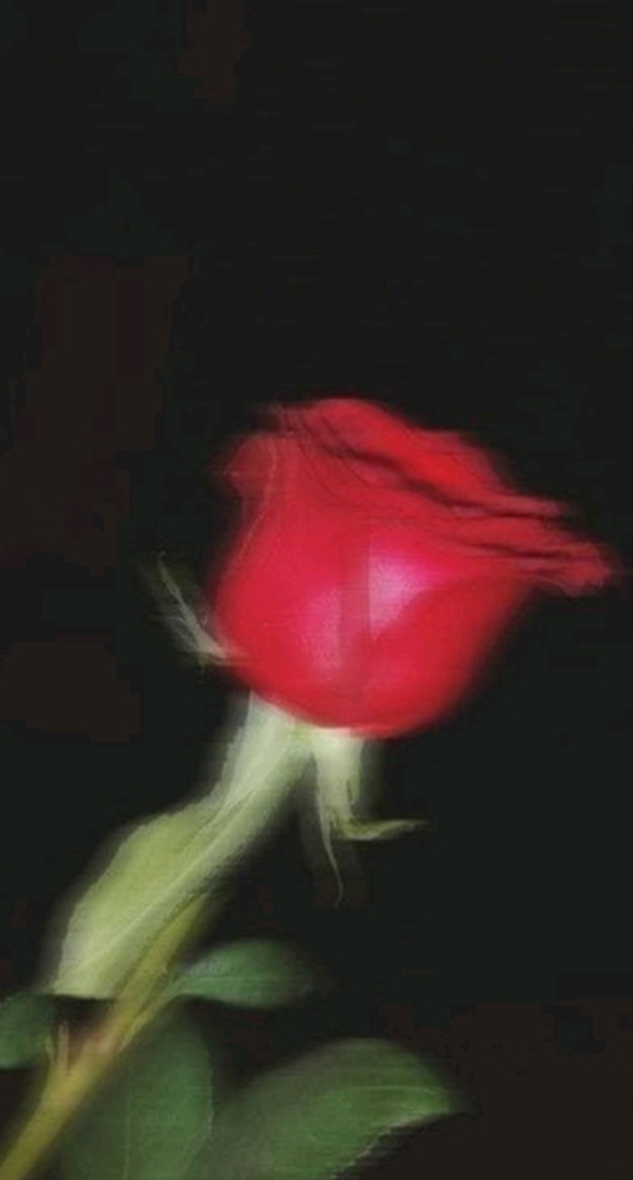 أيامي_معاك