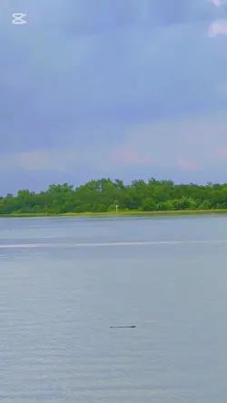 শহর থেকে বহু দূরে