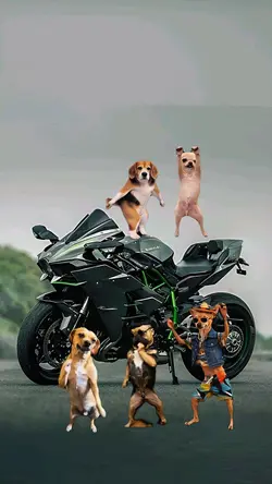 lilalalilalirara