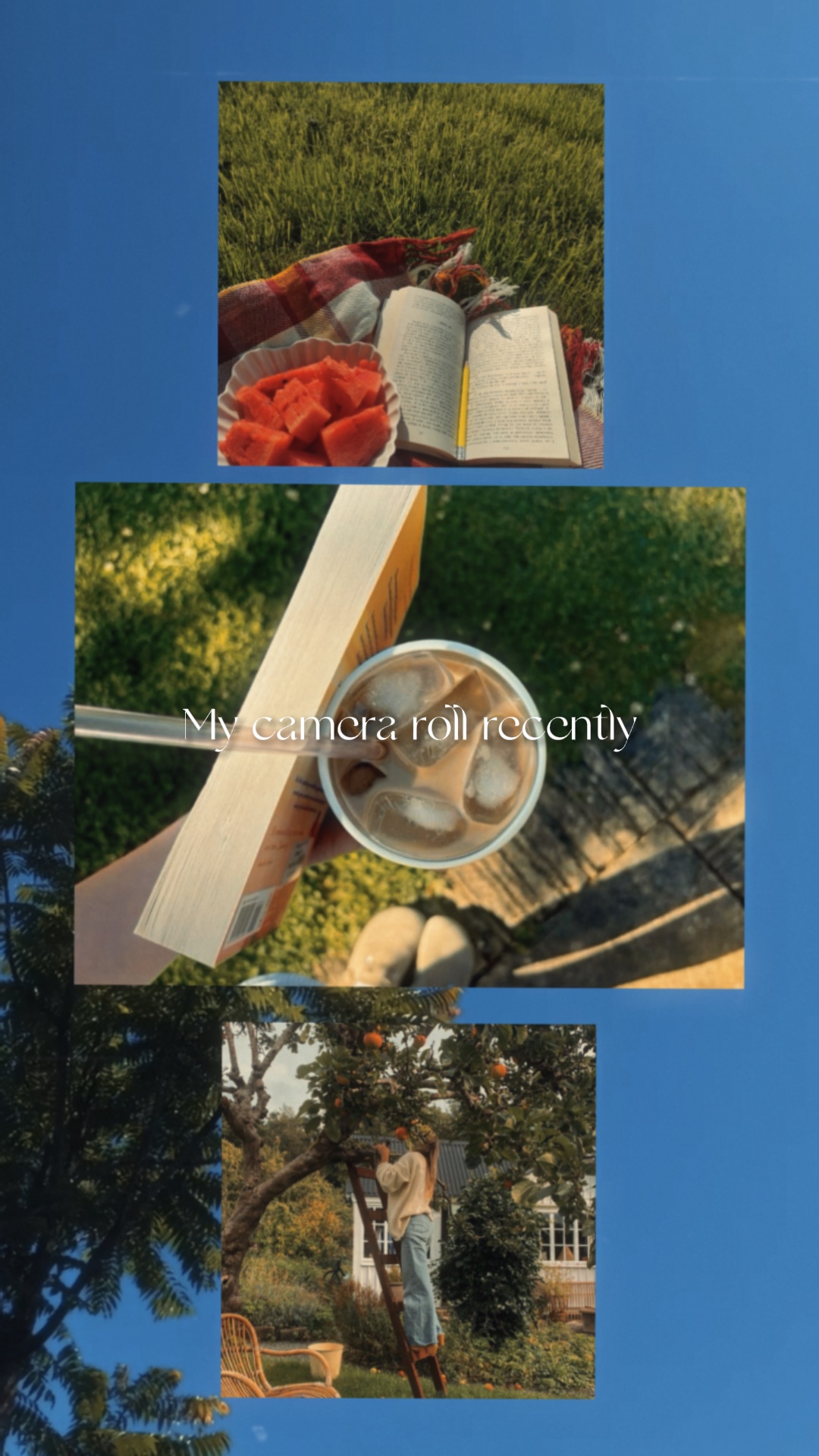 Cover Picture