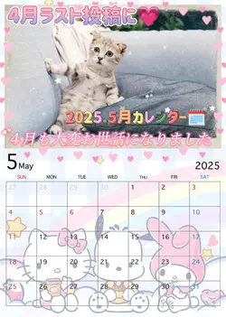 5月もよろしくお願いします⑤2025