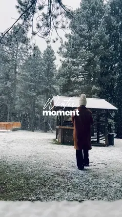 Winter Moment