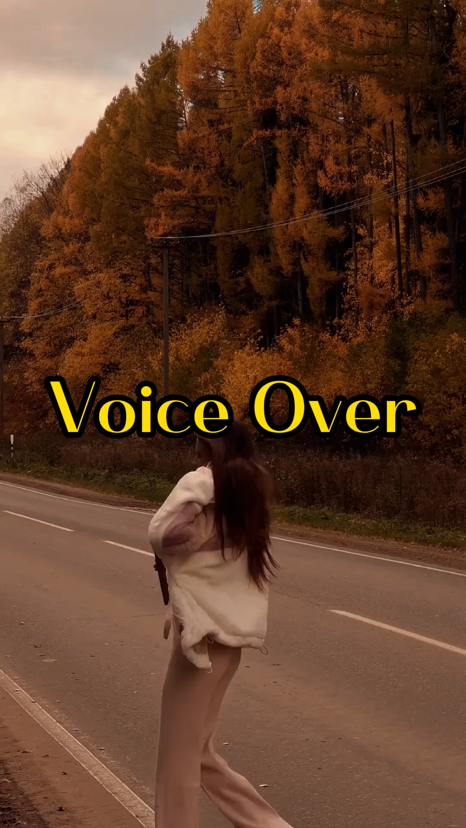 Vlog: voz en off 