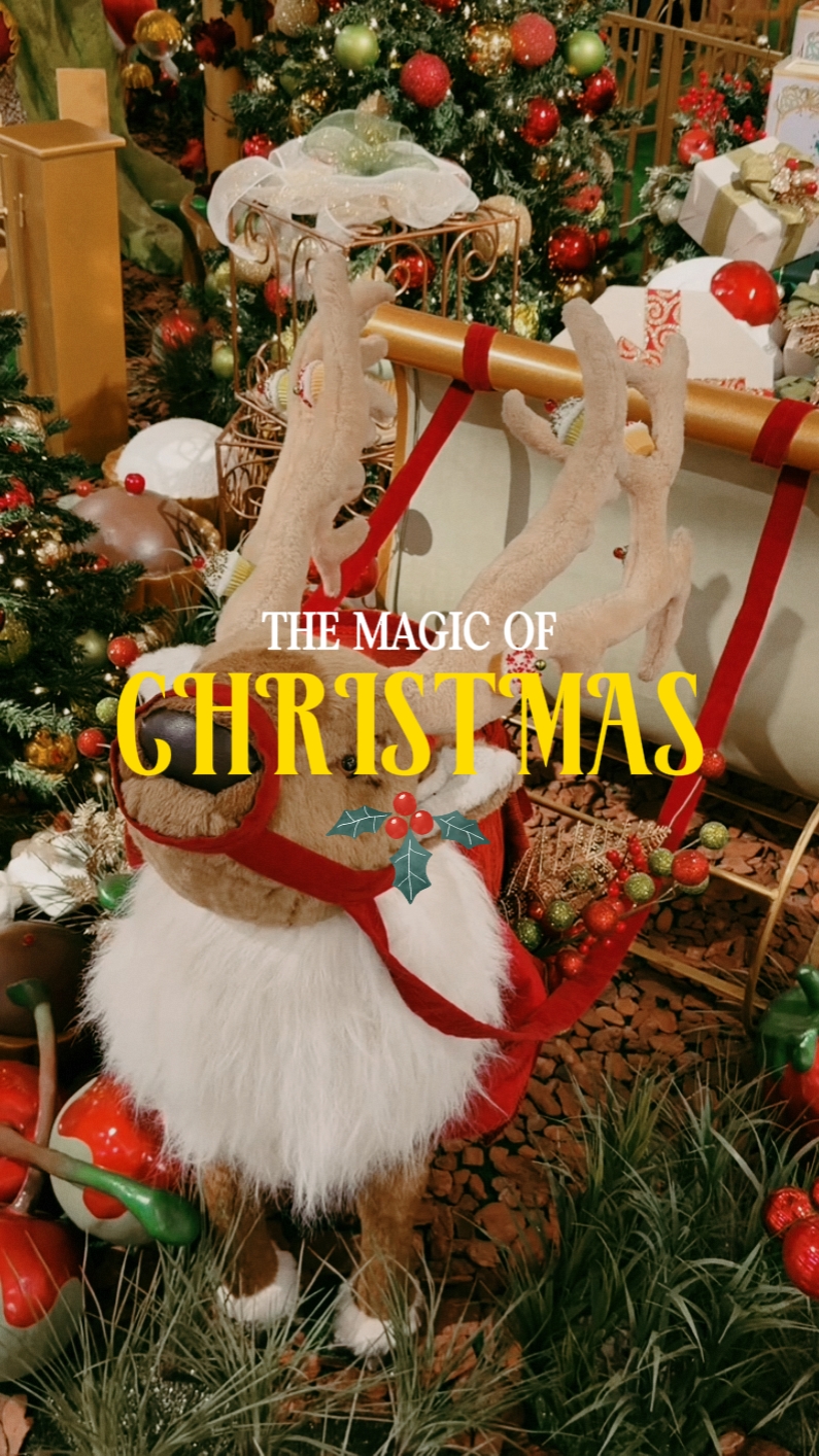 Natal