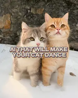 AI Cat Dance