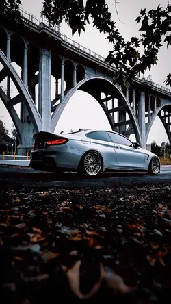 NEW TREND—TOP LEVEL 