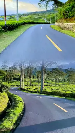 2 video collage