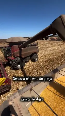 o sucesso não vem ..