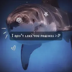 Shark edit :3