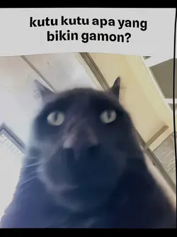 kutu apa yg bikin ga