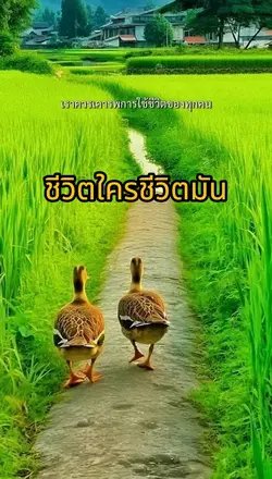 ชีวิตใครชีวิตมัน