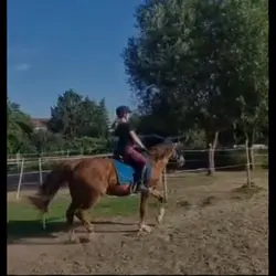 Salvatore