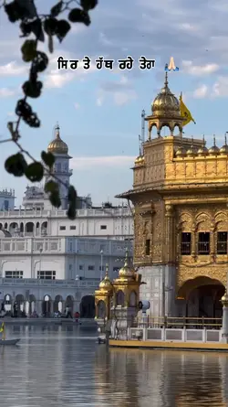 Punjabi golden templ