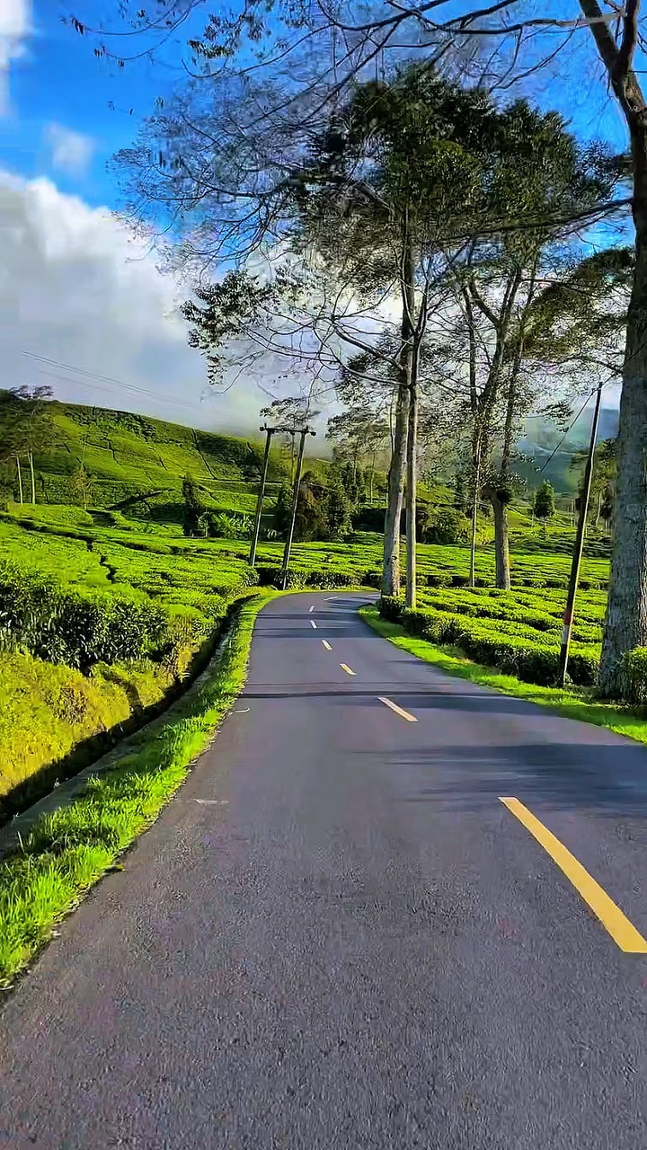 6 video seyahat HD 