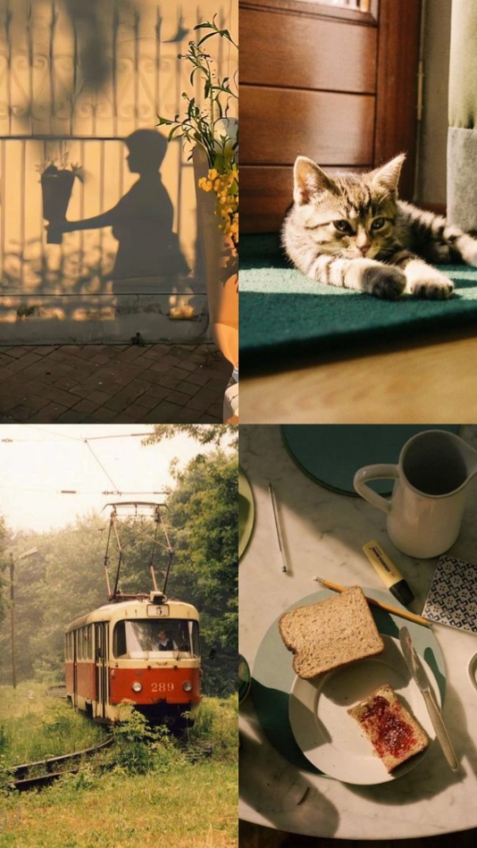 4 foto