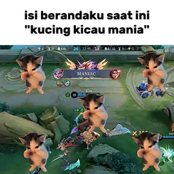 kucing kicau mania