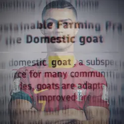 GOAT Newspaper TREND