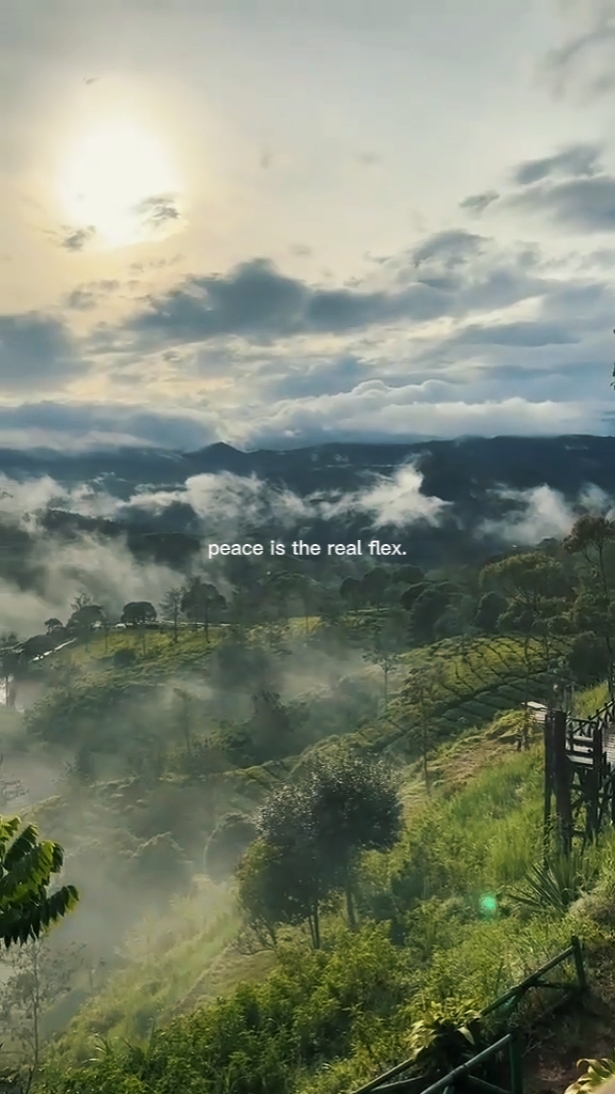 nature therapy 