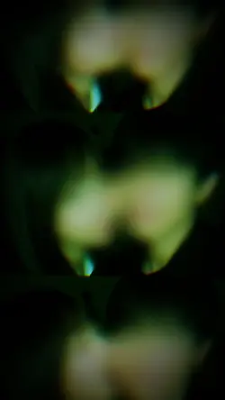 わるぐちいわれた