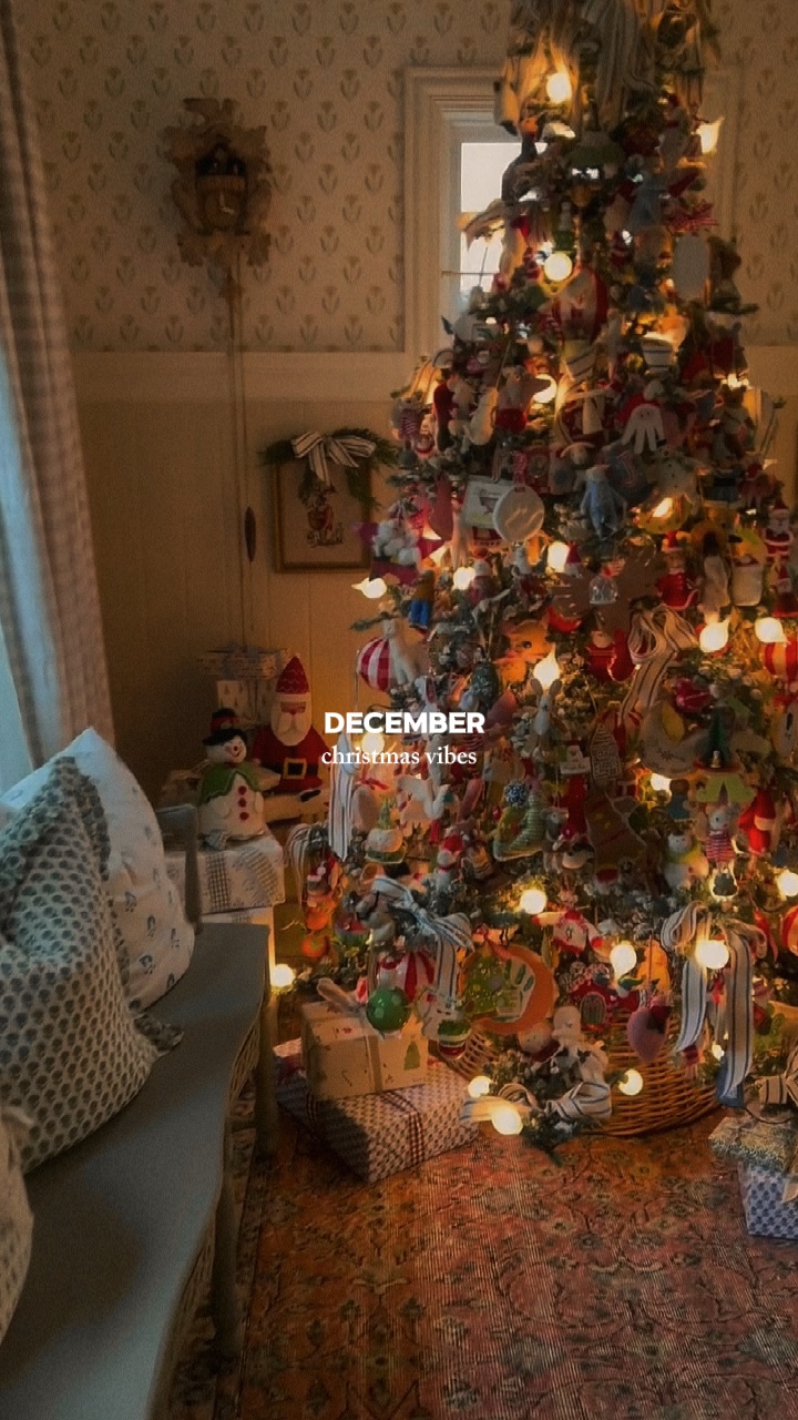 ✩ 1 video/photo🎄🎅🏼✩ 