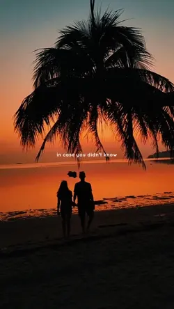 in case you didn't k