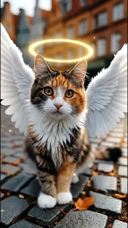Wings for cats