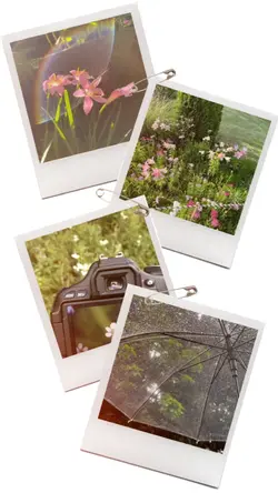 โชคดีเหลือเกิน