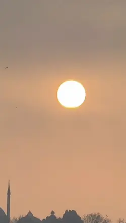 Tiktok Viral Şablon