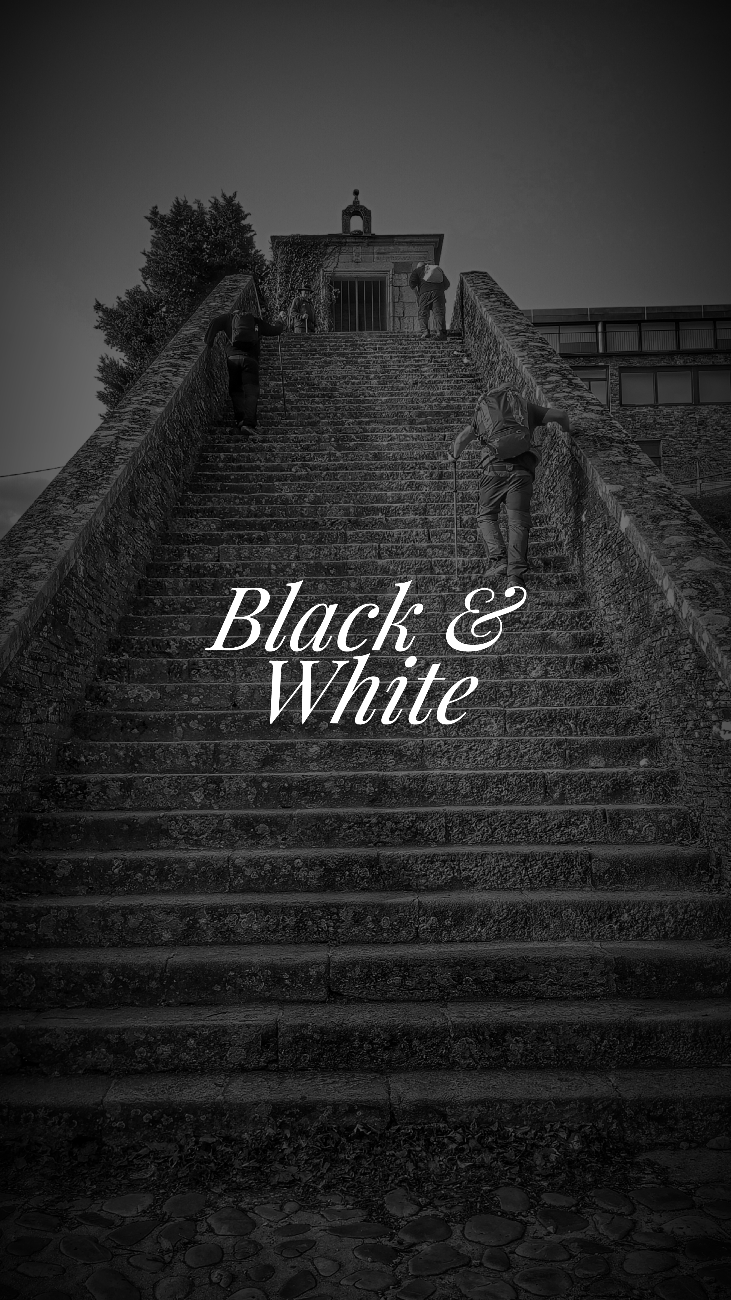 Blanco y Negro