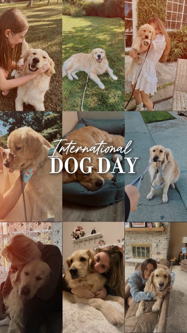 NATIONAL DOG DAY