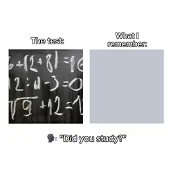 Did you study?