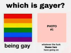 which is gayer?