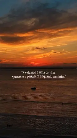 A vida não é uma….